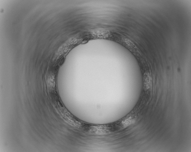 X0000057090713200509231650