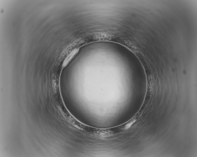 X0000057090716200509231650