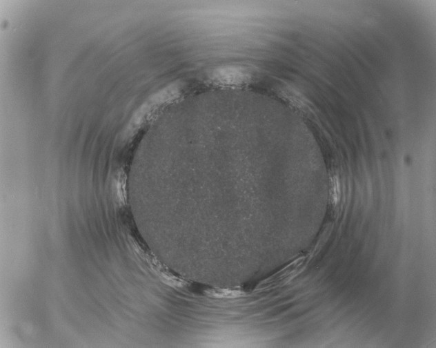 X0000057090718200509231650