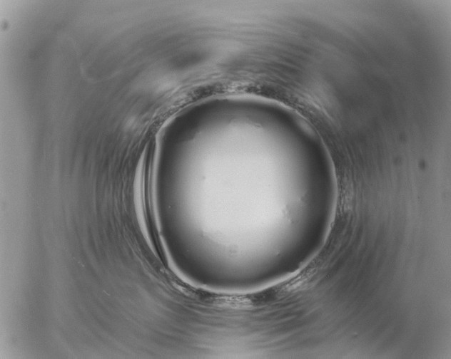 X0000057090719200509231650