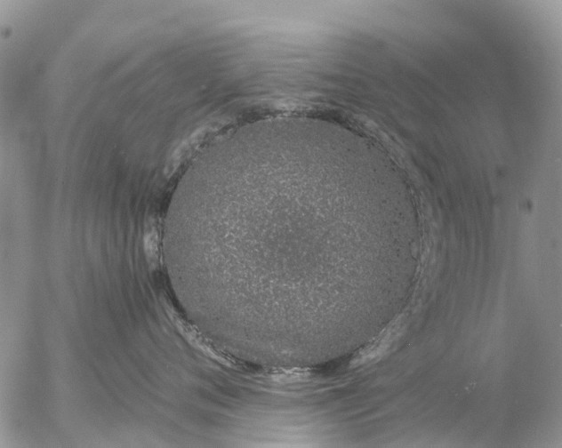 X0000057090720200509231650