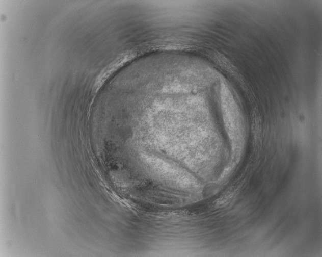 X0000057090721200509231649