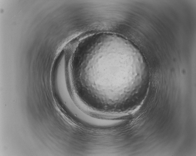 X0000057090722200509231649