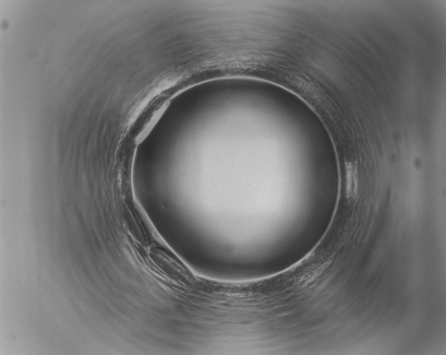 X0000057090723200509231649