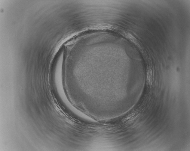 X0000057090724200509231649