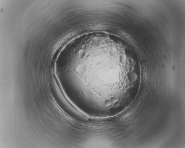 X0000057090725200509231649