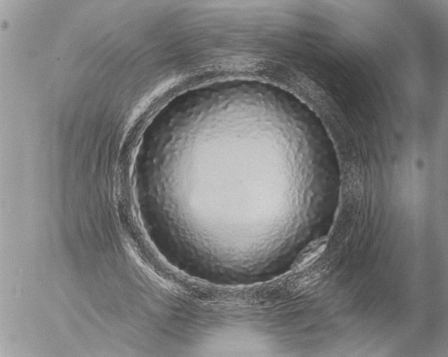 X0000057090726200509231649