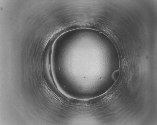 X0000057090727200509231649