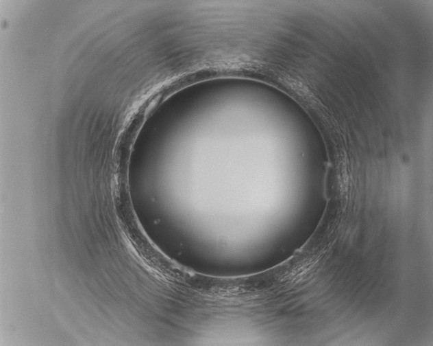 X0000057090728200509231649