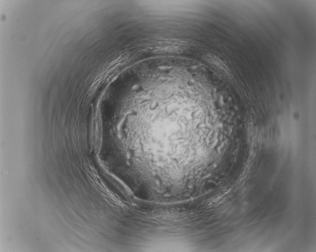 X0000057090729200509231649