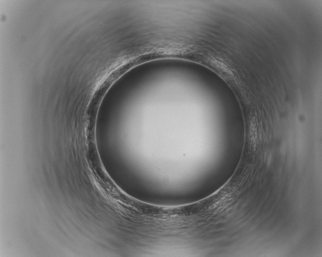 X0000057090730200509231649