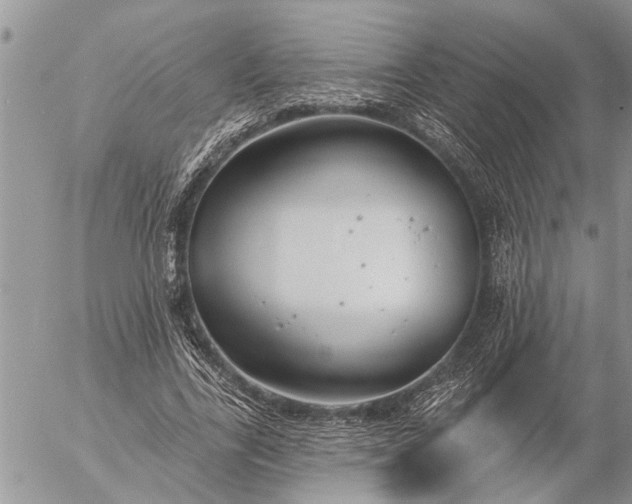 X0000057090731200509231649