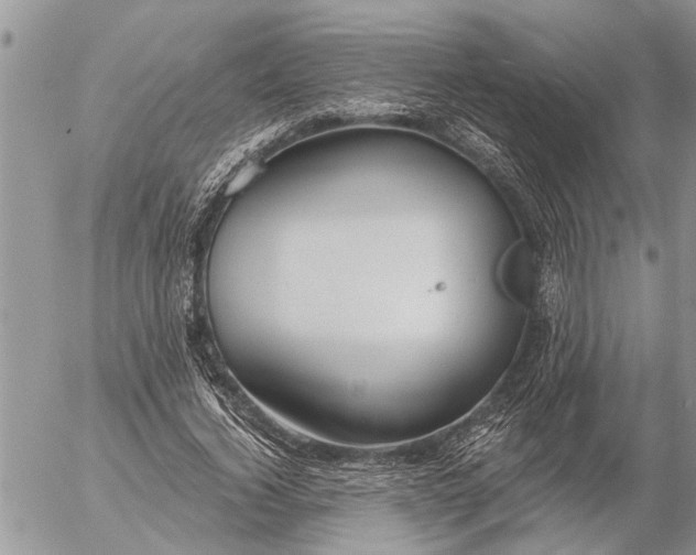 X0000057090732200509231649