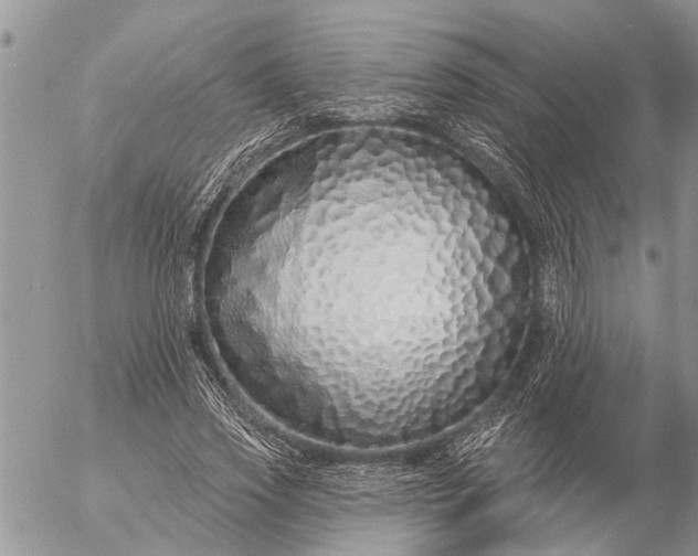 X0000057090733200509231649