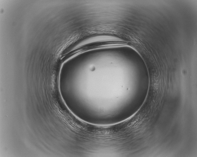 X0000057090735200509231649