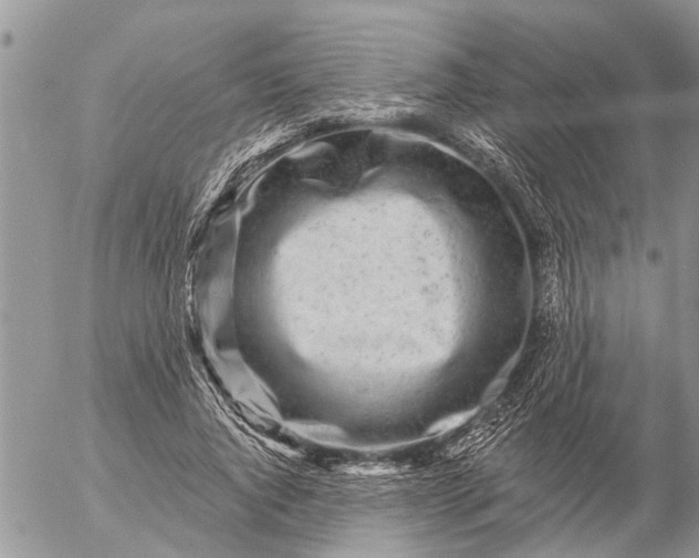 X0000057090736200509231649