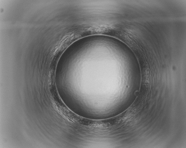 X0000057090738200509231649