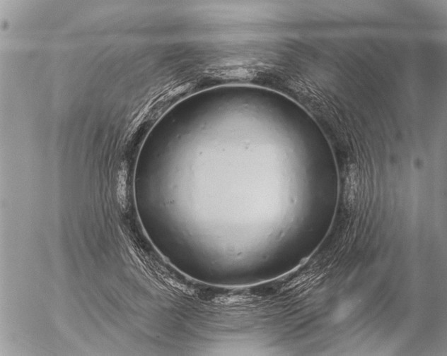 X0000057090739200509231649