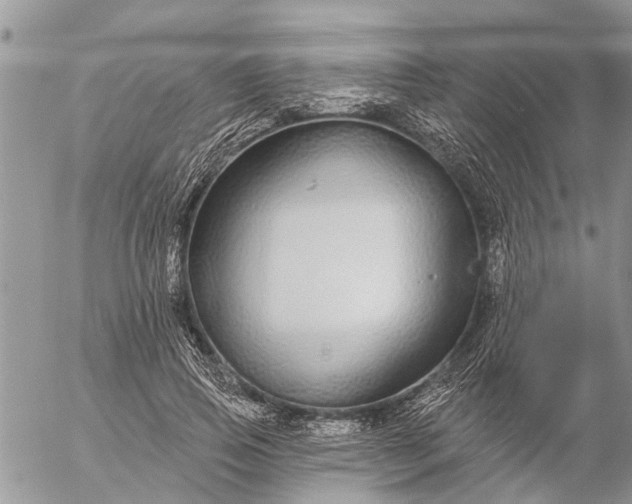 X0000057090741200509231649