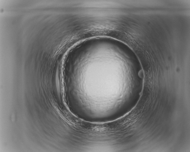 X0000057090742200509231649