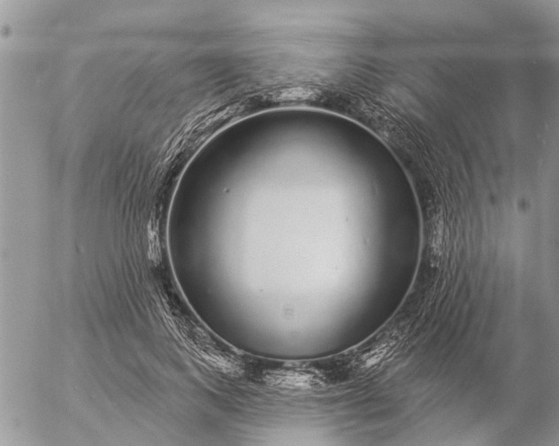 X0000057090743200509231649