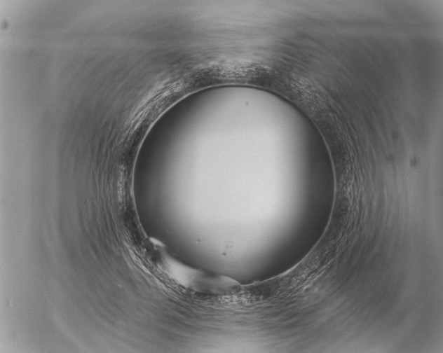 X0000057090744200509231649