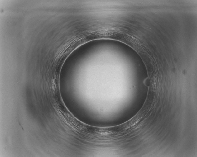 X0000057090746200509231649