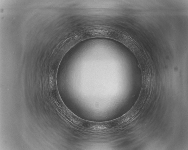 X0000057090749200509231649