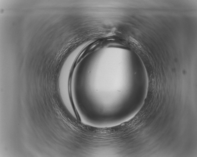 X0000057090750200509231649