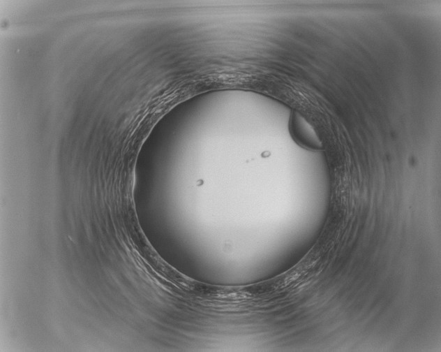 X0000057090752200509231649