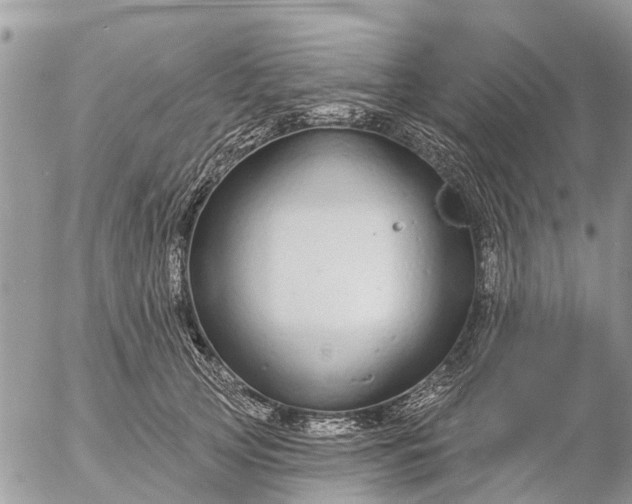 X0000057090753200509231649