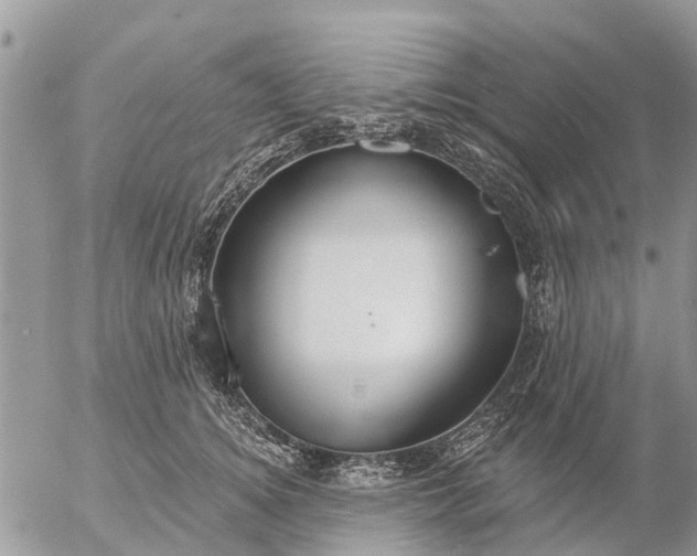 X0000057090756200509231649