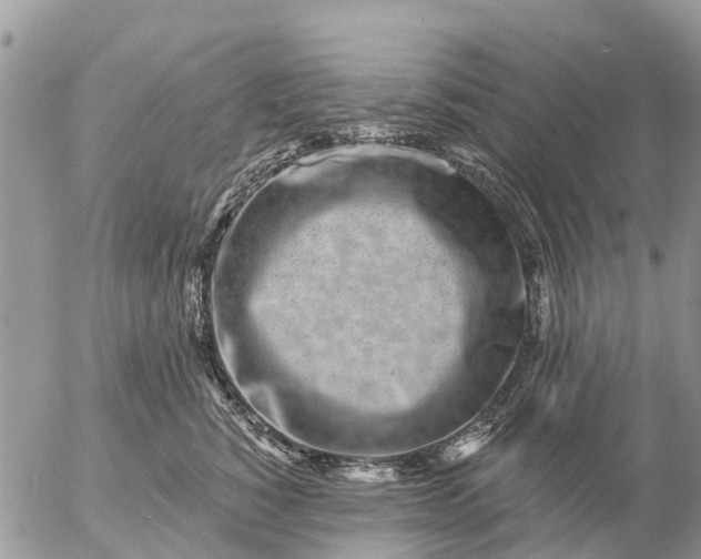 X0000057090760200509231650