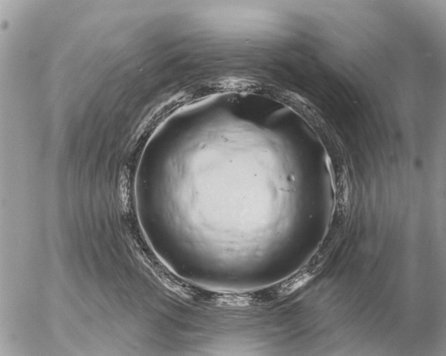 X0000057090762200509231650