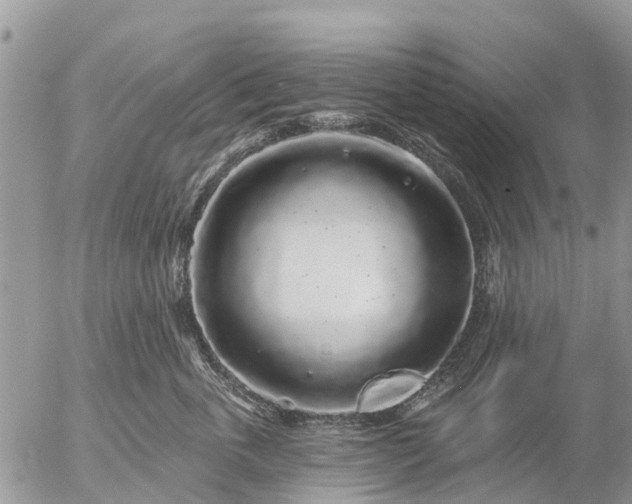 X0000057090763200509231650