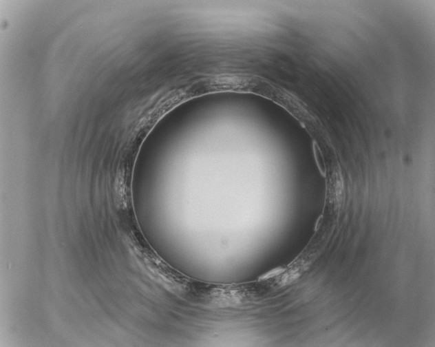 X0000057090764200509231650