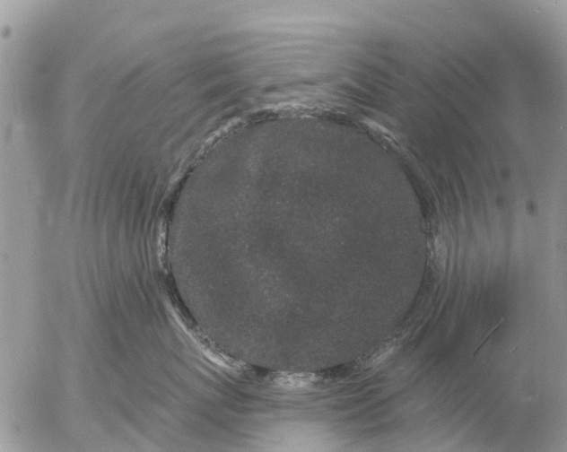 X0000057090767200509231650