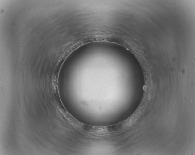 X0000057090768200509231650