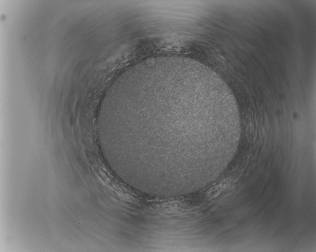 X0000057090769200509231649