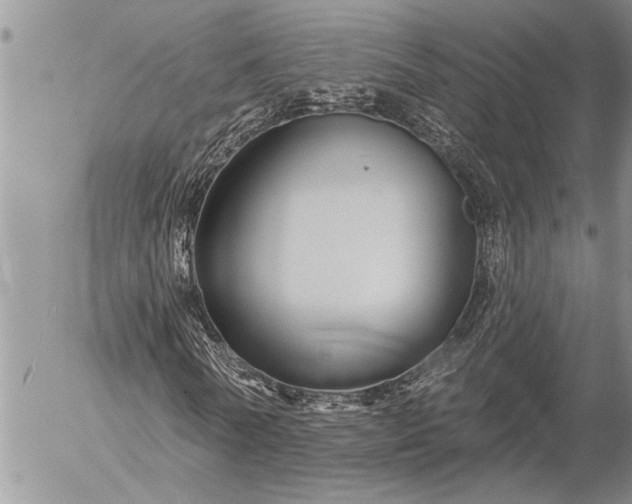 X0000057090770200509231649