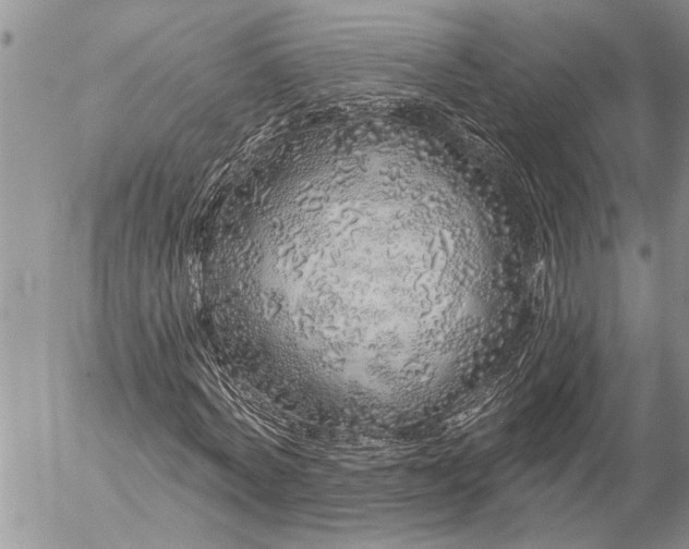 X0000057090772200509231649