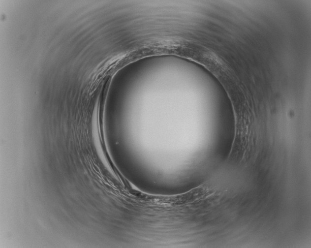 X0000057090773200509231649