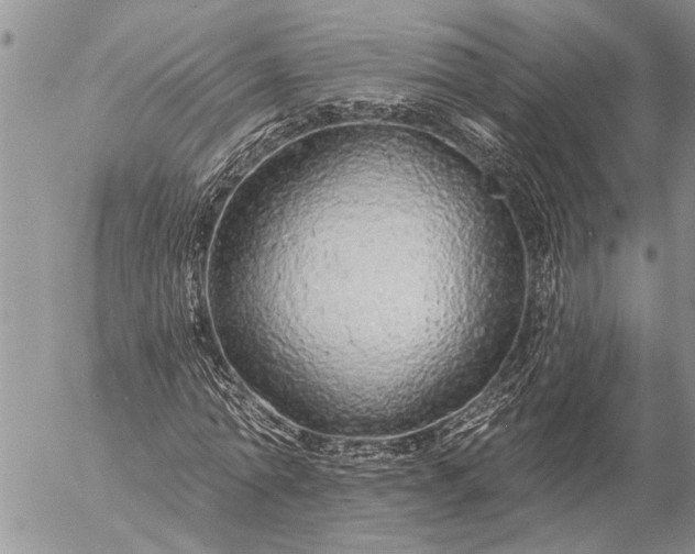 X0000057090774200509231649