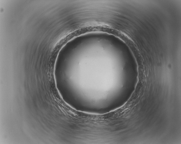 X0000057090775200509231649