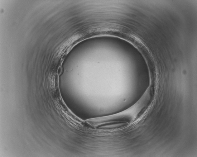 X0000057090777200509231649