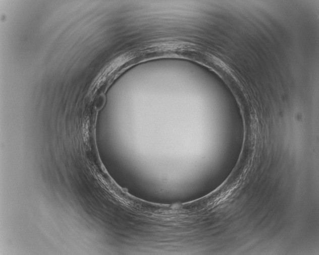 X0000057090778200509231649