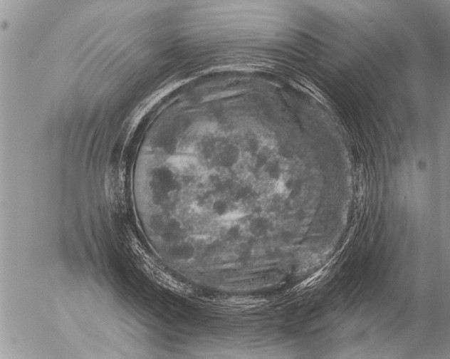 X0000057090779200509231649