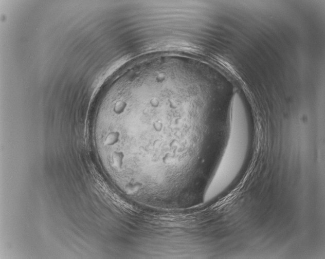 X0000057090780200509231649