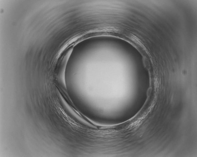 X0000057090781200509231649