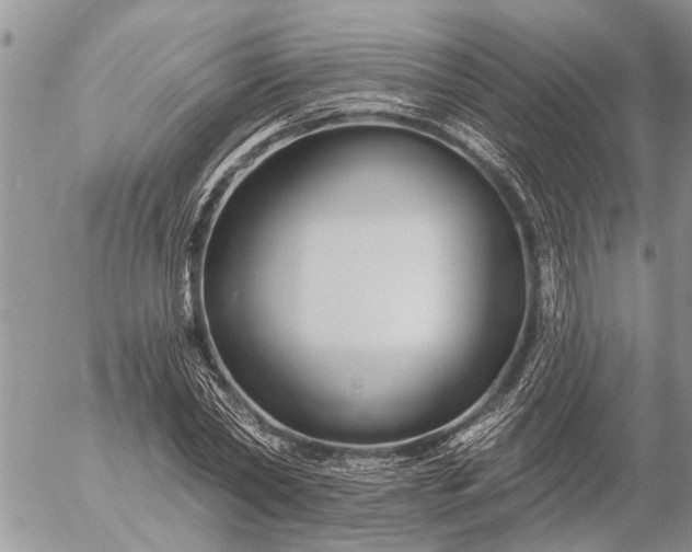 X0000057090782200509231649